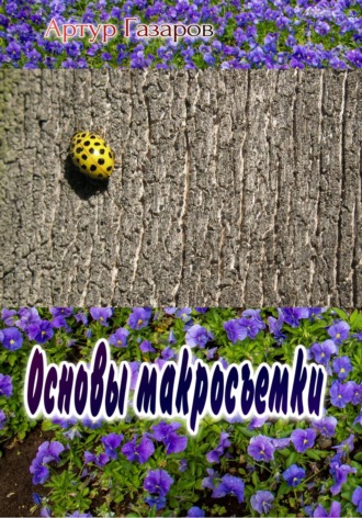 Артур Юрьевич Газаров. Основы макросъемки