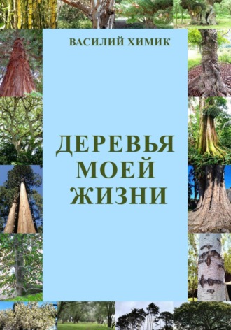 Деревья моей жизни. 