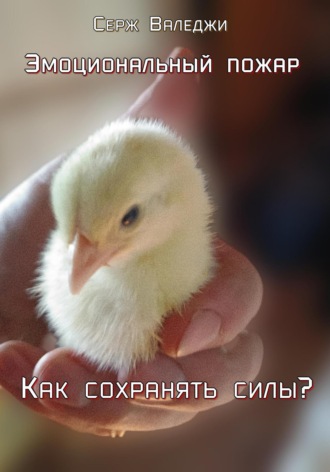 Эмоциональный пожар. Как сохранять силы?. Серж Валеджи