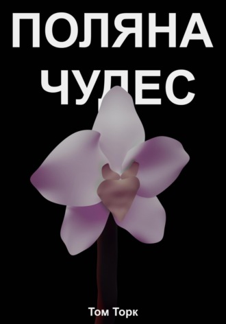 Том Торк. Поляна чудес