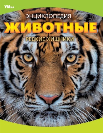 Владимир Алексеев. Животные. Редкие хищники