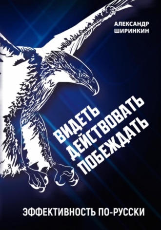 Александр Вадимович Ширинкин. Видеть. Действовать. Побеждать. Издание второе. Эффективность по-русски