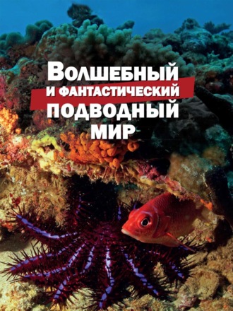 Василий Климов. Волшебный и фантастический подводный мир
