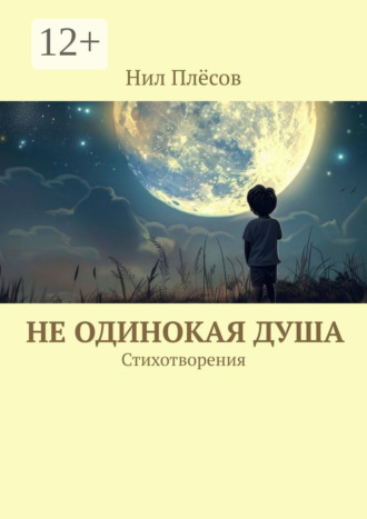 Нил Плёсов. Не одинокая душа. Стихотворения