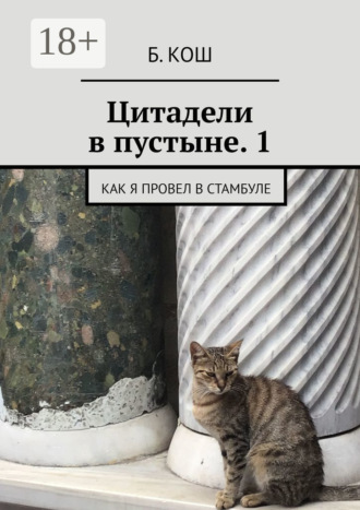 Цитадели в пустыне. 1. Как я провел в Стамбуле. Б. Кош