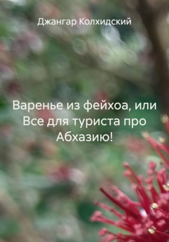 Джангар Колхидский. Варенье из фейхоа, или Все для туриста про Абхазию!