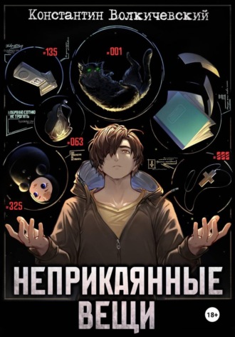 Неприкаянные вещи. Константин Волкичевский
