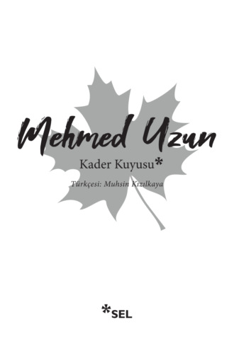 Kader Kuyusu. Mehmed Uzun