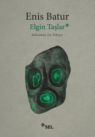 Elgin Taşlar - doksanüç loş hikâye. Enis Batur