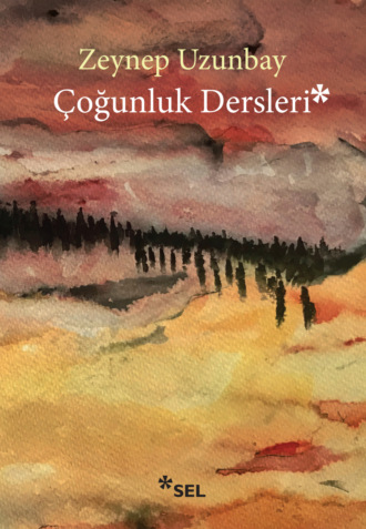 Çoğunluk Dersleri. Zeynep Uzunbay