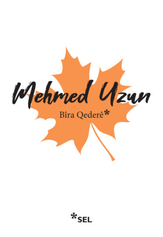Bîra Qederê. Mehmed Uzun