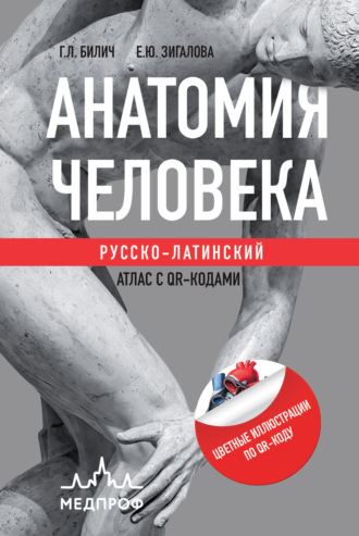 Анатомия человека. Русско-латинский атлас с QR-кодами. 