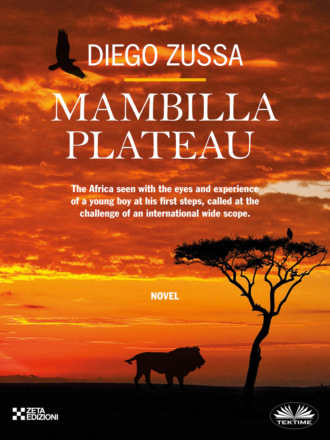 Diego Zussa. Mambilla Plateau