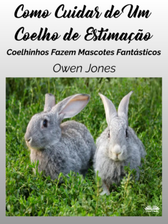 Como Cuidar de Um Coelho de Estimação. 