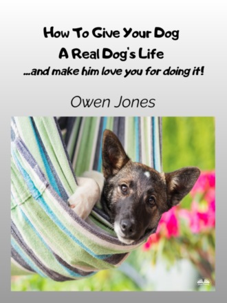 How To Give Your Dog A Real Dog`s Life. 
