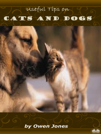 Оуэн Джонс. Cats And Dogs