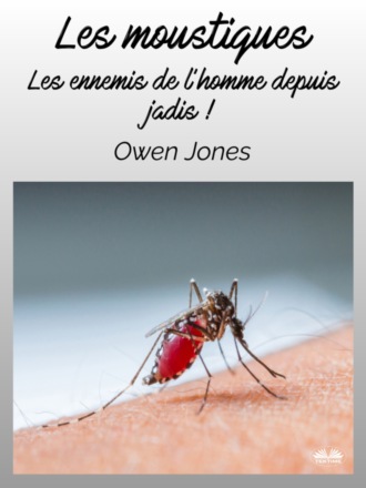 Les Moustiques. 