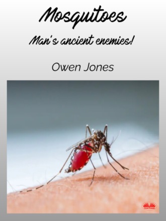 Оуэн Джонс. Mosquitoes