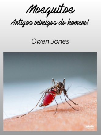 Mosquitos. 