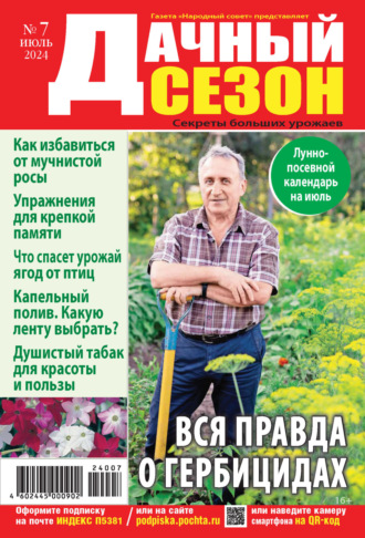 . Дачный сезон №07/2024