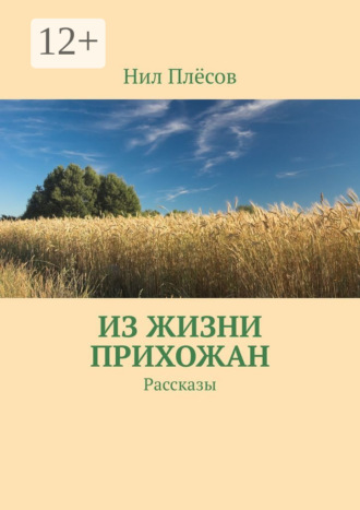 Нил Плёсов. Из жизни прихожан. Рассказы