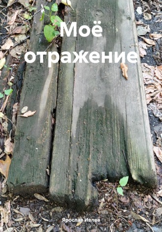 Ярослав Ивлев. Моё отражение