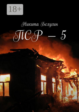 ПСР – 5. Никита Белугин
