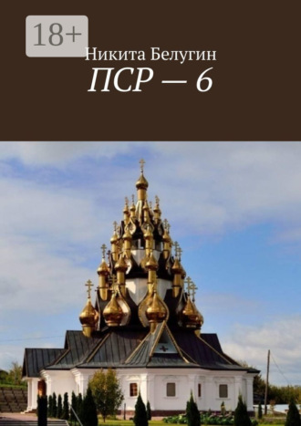 ПСР – 6. Никита Белугин