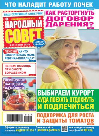 . Народный совет №29/2024