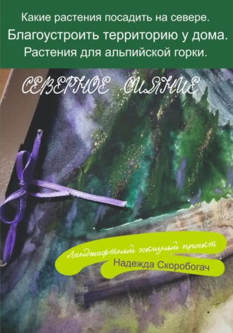 Северное сияние. Скоробогач Надежда
