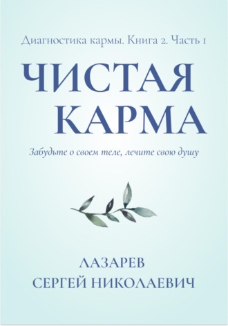 Диагностика кармы. Чистая карма. Часть 1. 