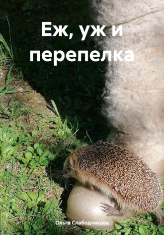 Еж, уж и перепелка. Ольга Слабодчикова