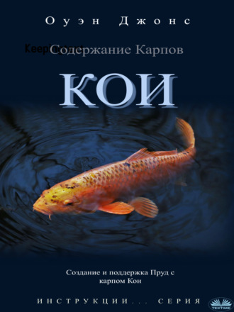Содержание карпов кои. 