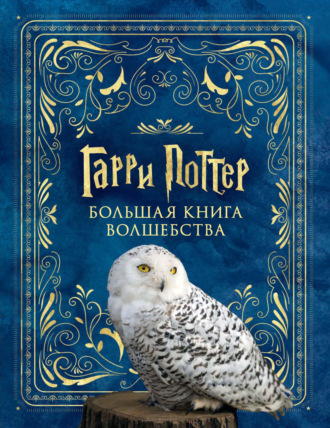 . Гарри Поттер. Большая книга волшебства