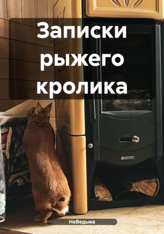 Записки рыжего кролика. НеВедьма