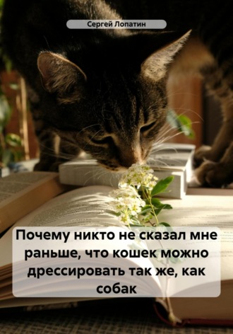 Почему никто не сказал мне раньше, что кошек можно дрессировать так же, как собак. 