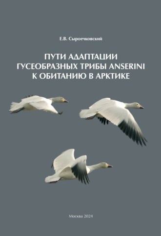 Е. В. Сыроечковский. Пути адаптации Гусеобразных трибы Anserini к обитанию в Арктике