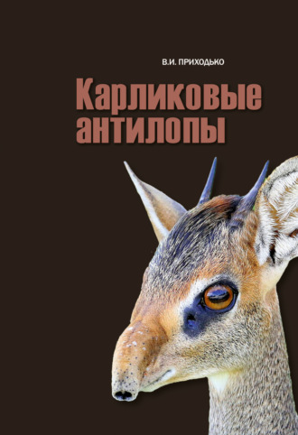 В. И. Приходько. Карликовые антилопы (Neotragini)