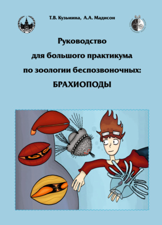 А. А. Мадисон. Руководство для большого практикума по зоологии беспозвоночных. Брахиоподы