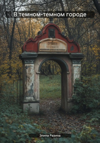 Элина Разина. В темном-темном городе