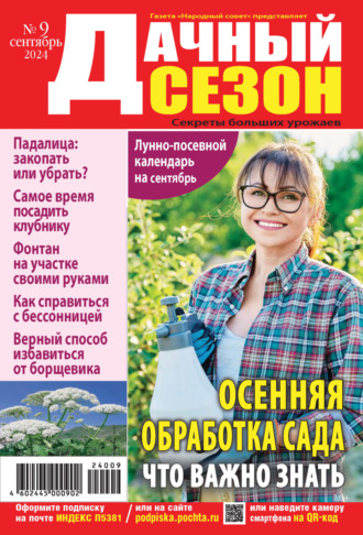 . Дачный сезон №09/2024