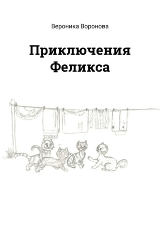 Вероника Воронова. Приключения Феликса