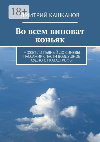 Дмитрий Кашканов. Во всем виноват коньяк. Может ли пьяный до синевы пассажир спасти воздушное судно от катастрофы