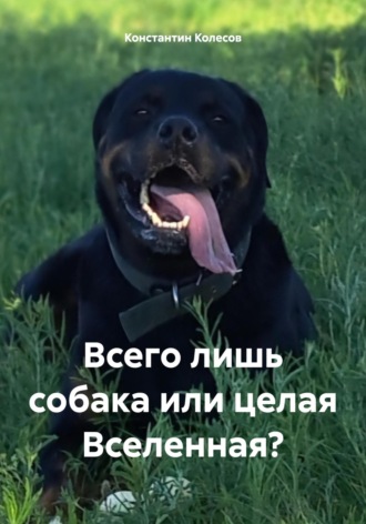 Константин Колесов. Всего лишь собака или целая Вселенная?