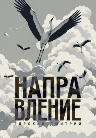 Направление 3. Дмитрий Гирский