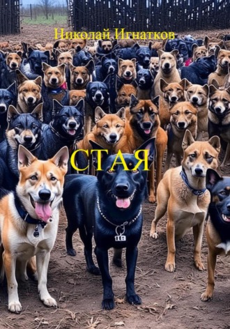 Николай Игнатков. Стая