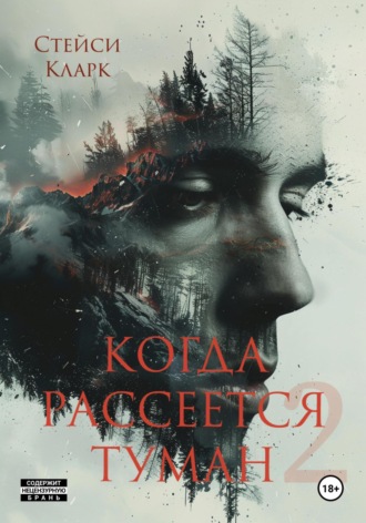 Стейси Кларк. Когда рассеется туман. Книга 2
