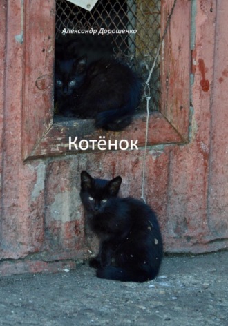 Котёнок. 