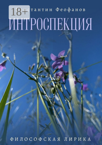Интроспекция. Философская лирика. Константин Анатольевич Феофанов