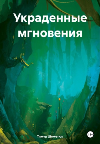 Тимур Шеметюк. Украденные мгновения
